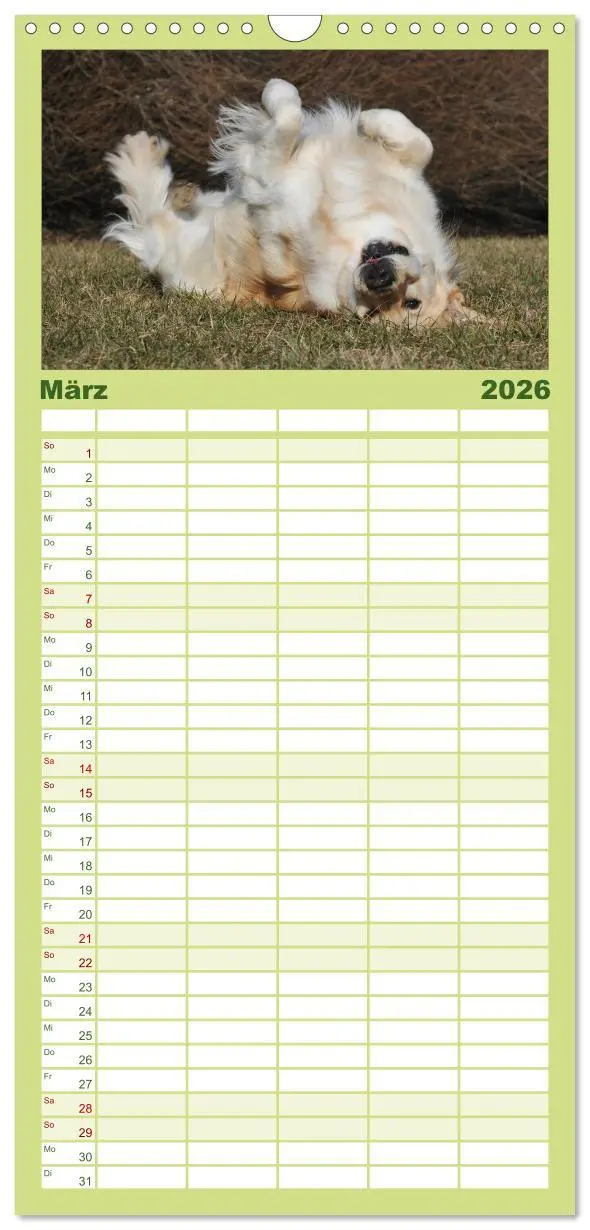Bild: 9783516520712 | Familienplaner 2026 - Golden Retriever - Ein Herz auf 4 Pfoten mit...