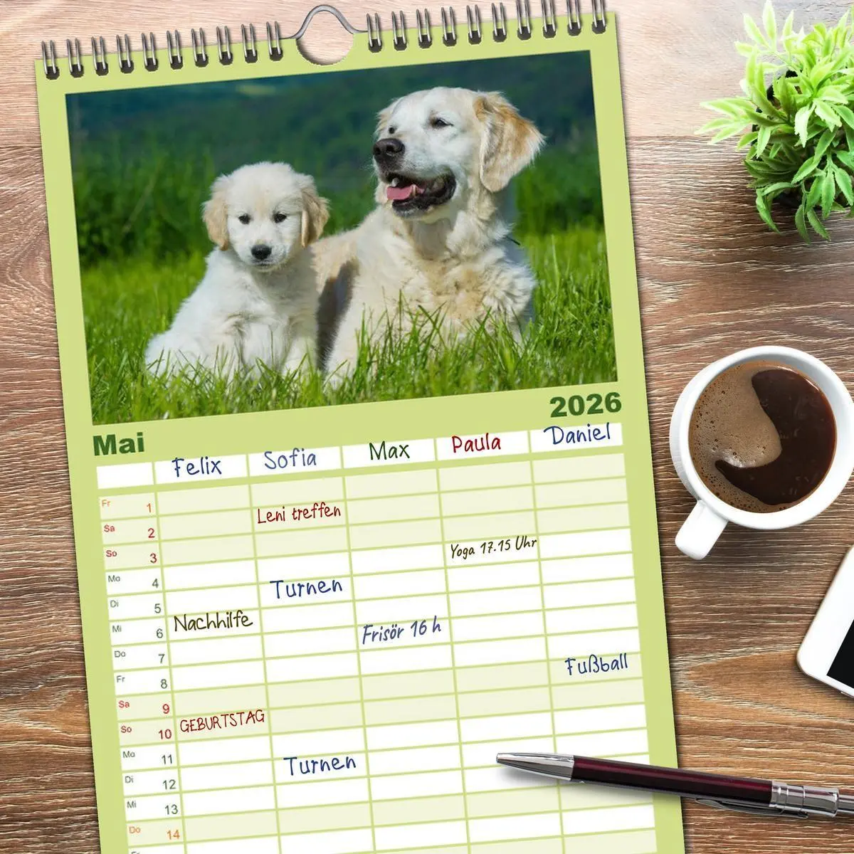 Bild: 9783516520712 | Familienplaner 2026 - Golden Retriever - Ein Herz auf 4 Pfoten mit...