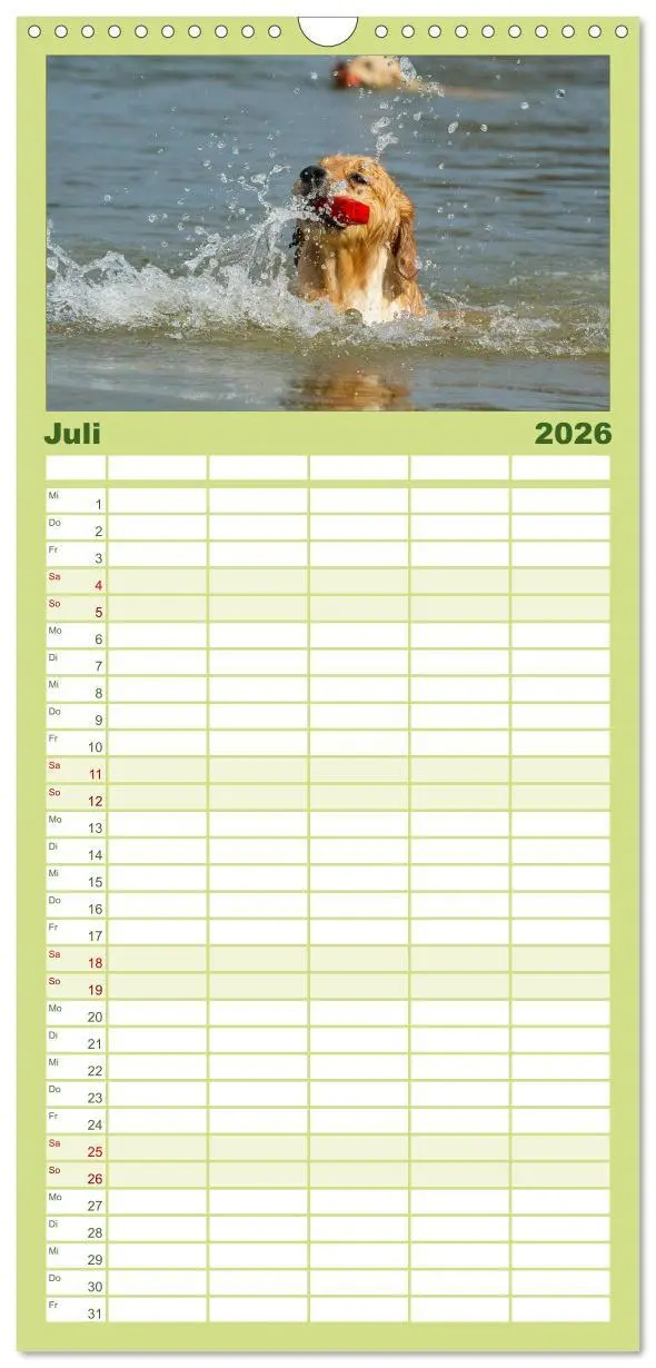 Bild: 9783516520712 | Familienplaner 2026 - Golden Retriever - Ein Herz auf 4 Pfoten mit...