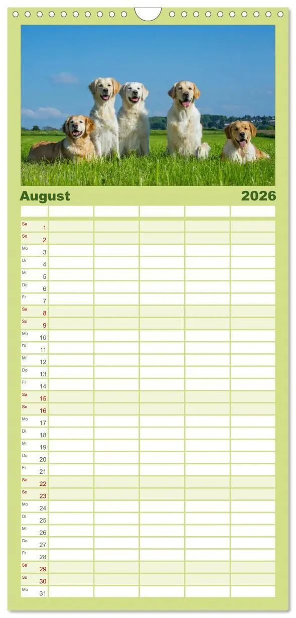 Bild: 9783516520712 | Familienplaner 2026 - Golden Retriever - Ein Herz auf 4 Pfoten mit...