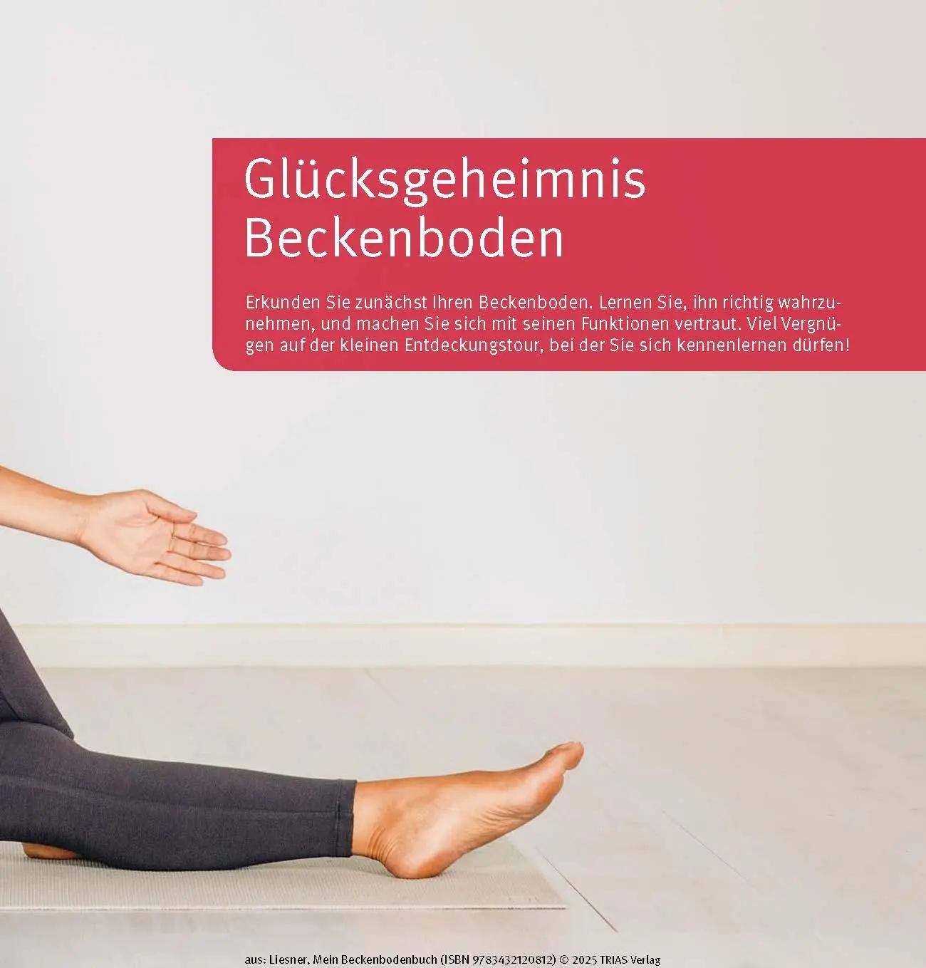 Bild: 9783432120812 | Mein Beckenbodenbuch | Franziska Liesner | Taschenbuch | 144 S. | 2025