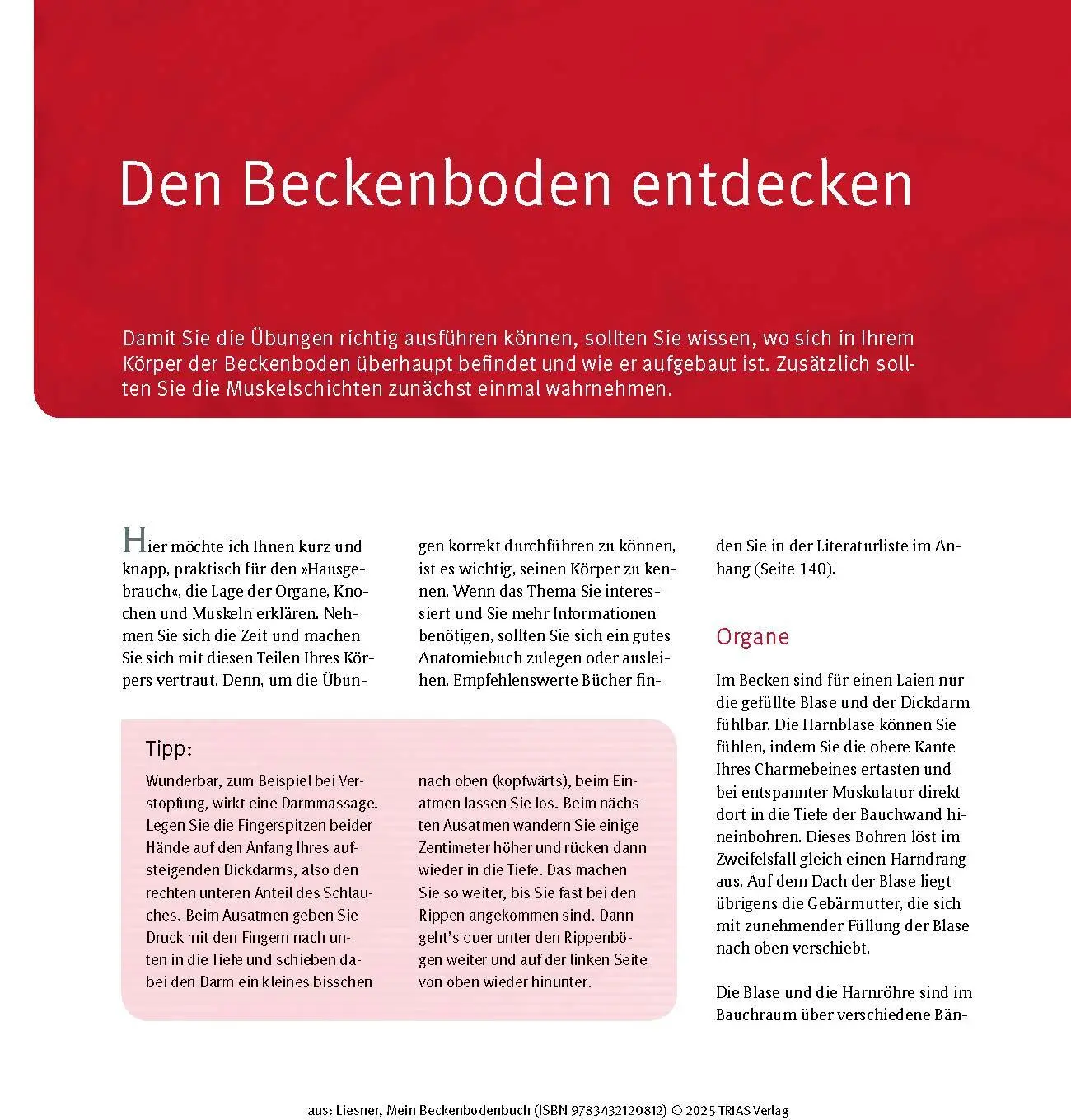 Bild: 9783432120812 | Mein Beckenbodenbuch | Franziska Liesner | Taschenbuch | 144 S. | 2025