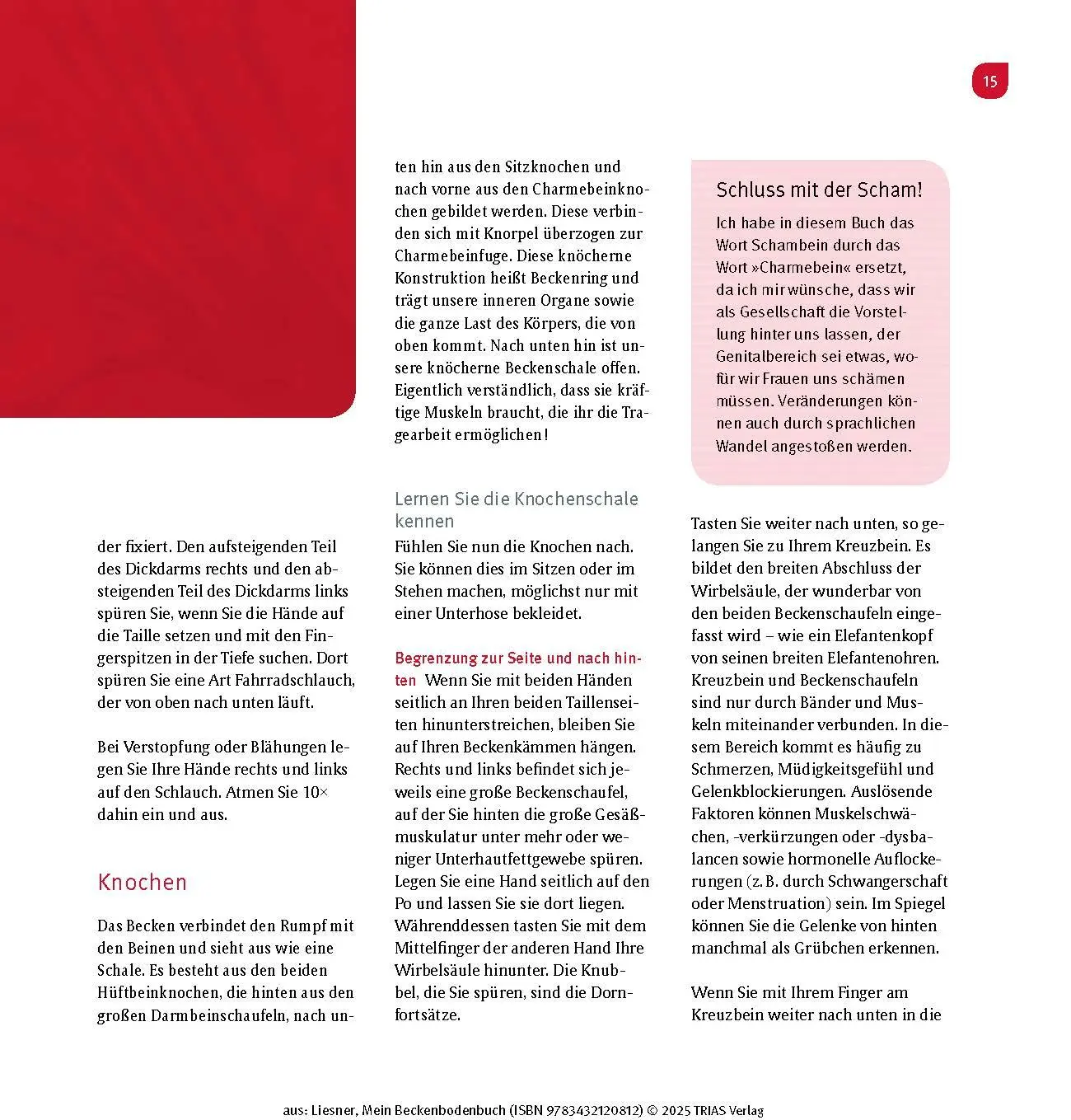 Bild: 9783432120812 | Mein Beckenbodenbuch | Franziska Liesner | Taschenbuch | 144 S. | 2025