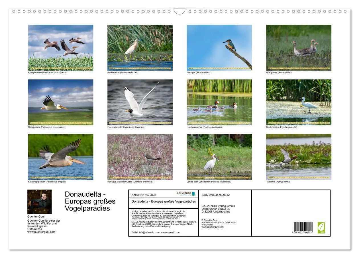 Bild: 9783457590812 | Donaudelta - Europas großes Vogelparadies (Wandkalender 2026 DIN A2...