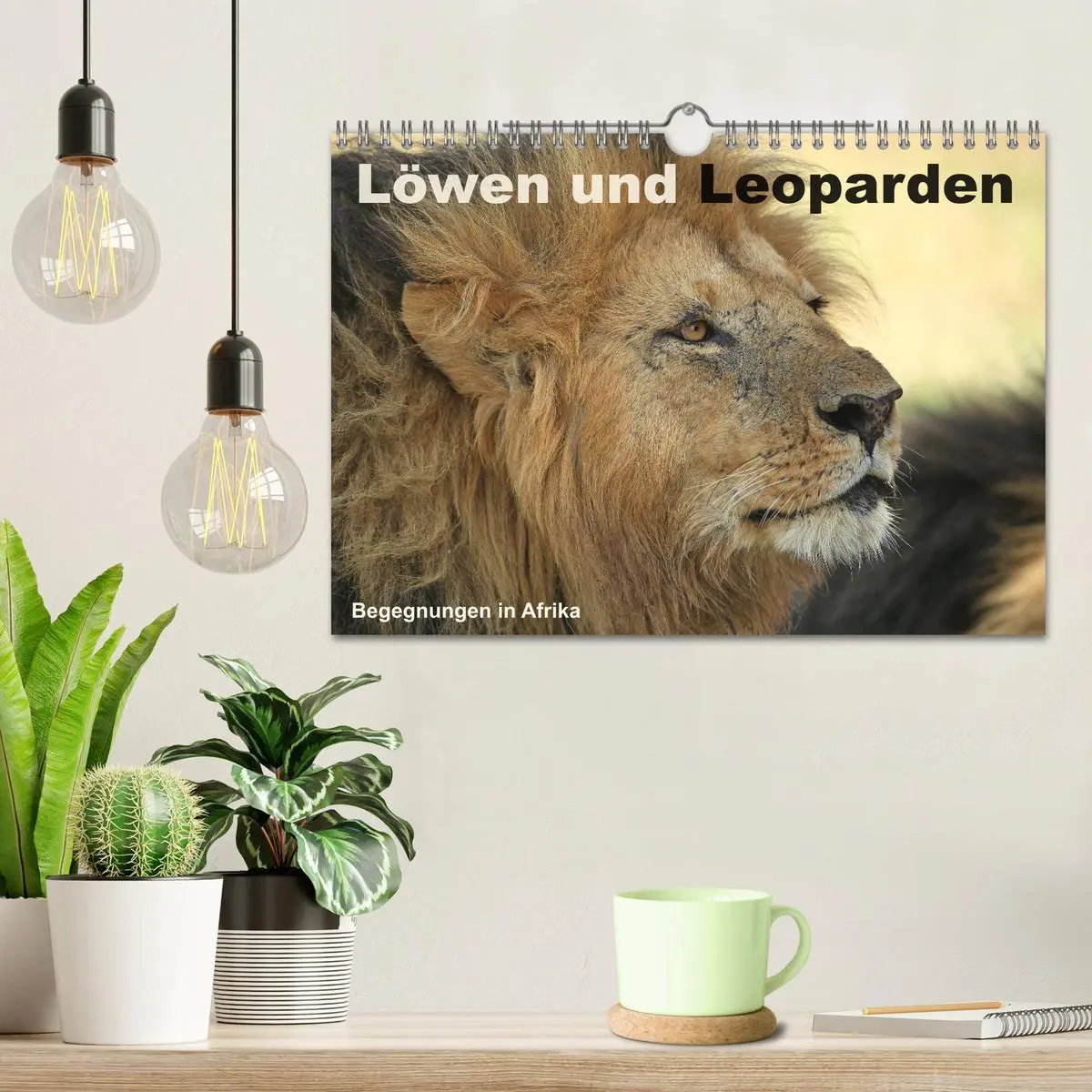 Bild: 9783516050912 | Löwen und Leoparden - Begegnungen in Afrika (Wandkalender 2026 DIN...