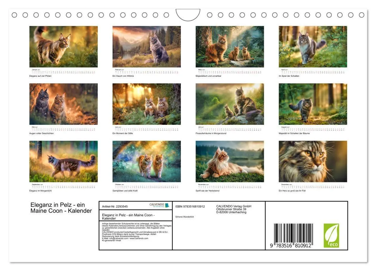 Bild: 9783516810912 | Eleganz in Pelz - ein Maine Coon - Kalender (Wandkalender 2027 DIN...