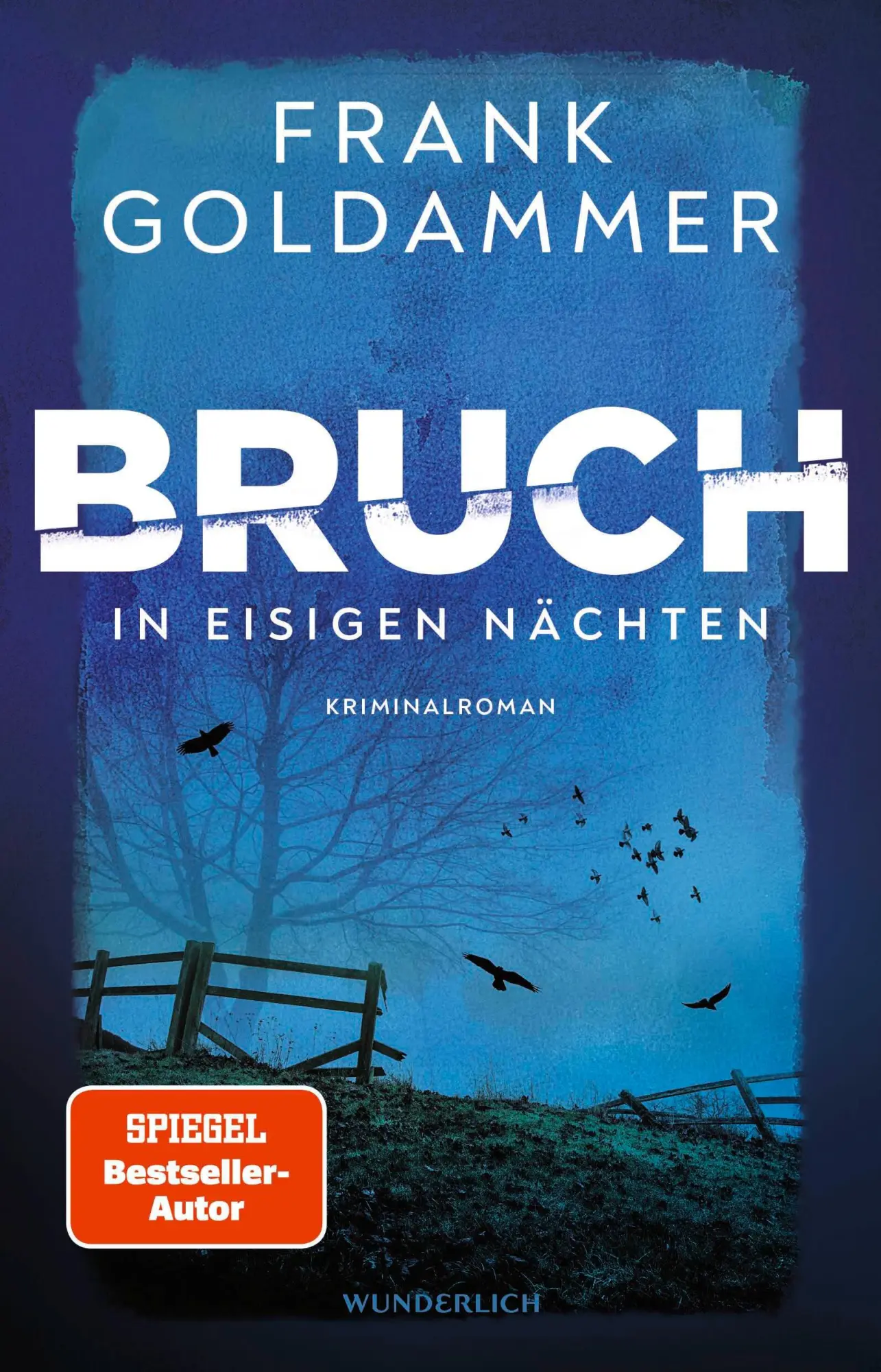 Cover: 9783805200912 | Bruch: In eisigen Nächten | Frank Goldammer | Taschenbuch | 416 S.