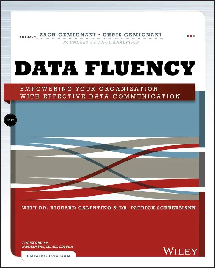 Cover: 9781118851012 | Data Fluency | Zach Gemignani (u. a.) | Taschenbuch | 288 S. | 2014