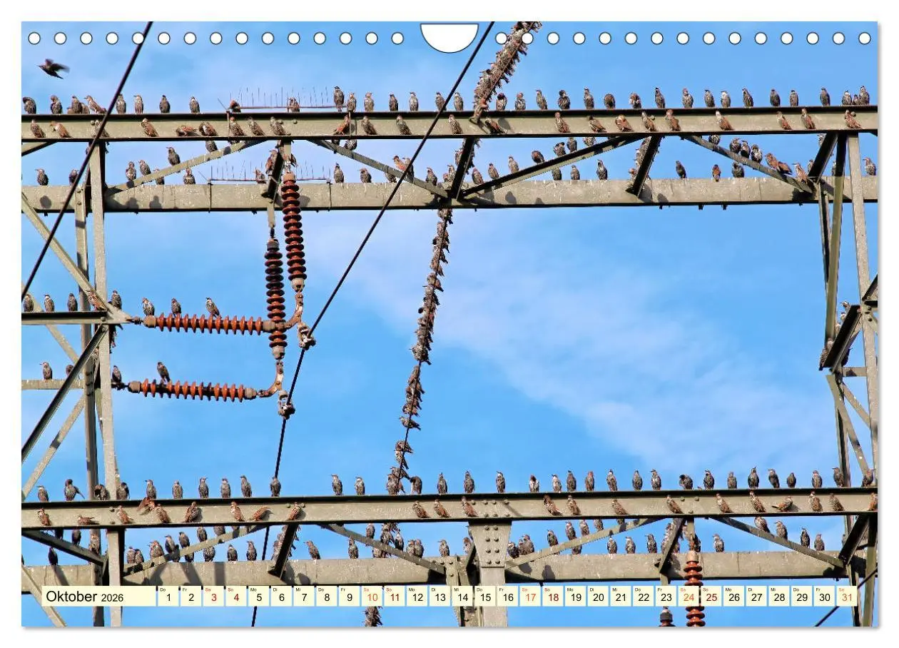 Bild: 9783457921012 | Strommasten - Wege des Stroms (Wandkalender 2026 DIN A4 quer),...