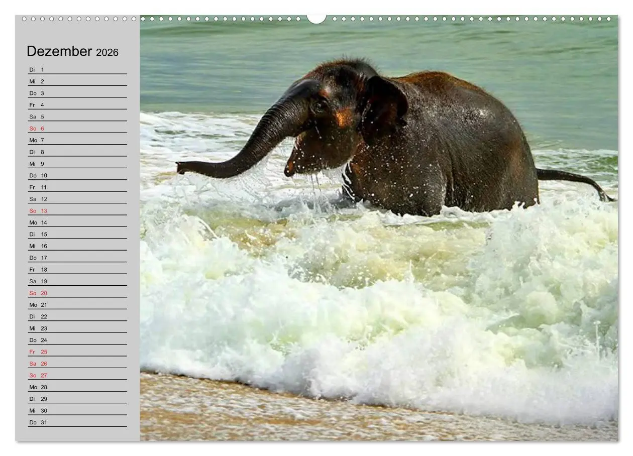 Bild: 9783516011012 | Elefanten. Spaß am Wasser (Wandkalender 2026 DIN A2 quer), CALVENDO...