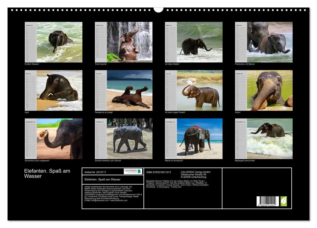 Bild: 9783516011012 | Elefanten. Spaß am Wasser (Wandkalender 2026 DIN A2 quer), CALVENDO...