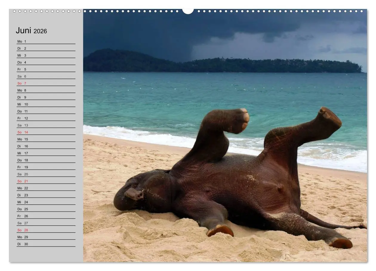 Bild: 9783516011012 | Elefanten. Spaß am Wasser (Wandkalender 2026 DIN A2 quer), CALVENDO...