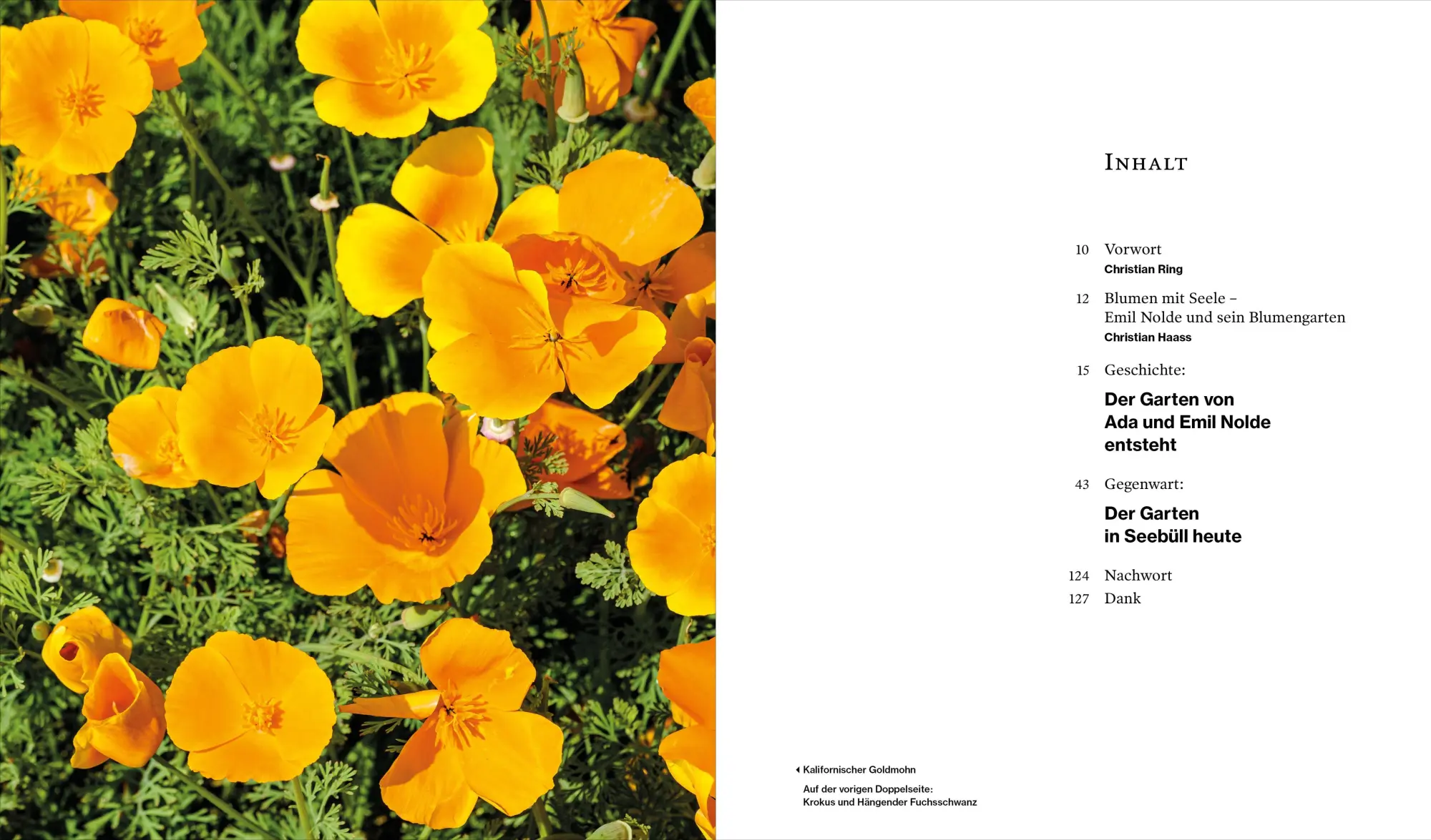 Bild: 9783911881012 | Der Garten von Ada und Emil Nolde | Geschichte und Gegenwart | Buch