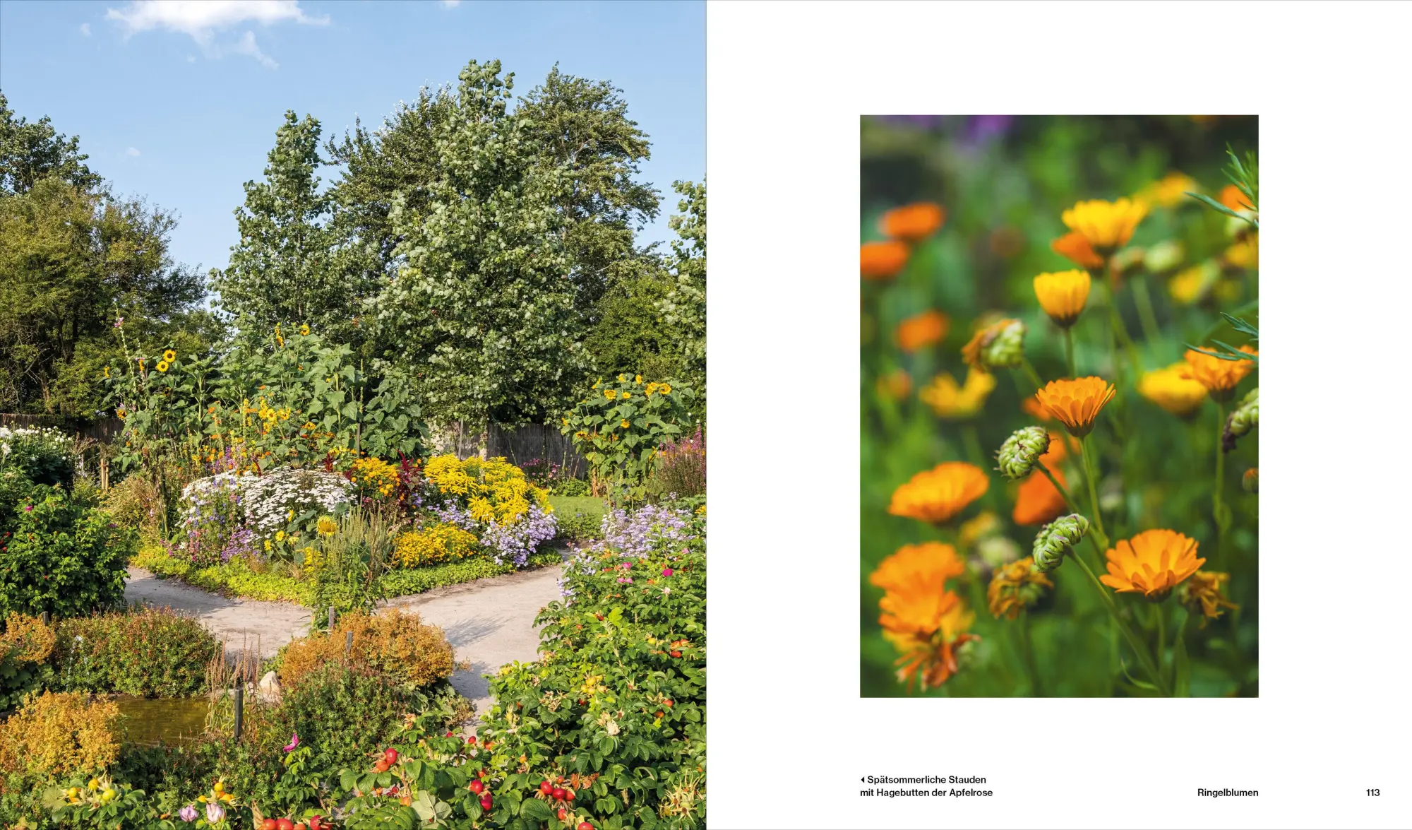 Bild: 9783911881012 | Der Garten von Ada und Emil Nolde | Geschichte und Gegenwart | Buch