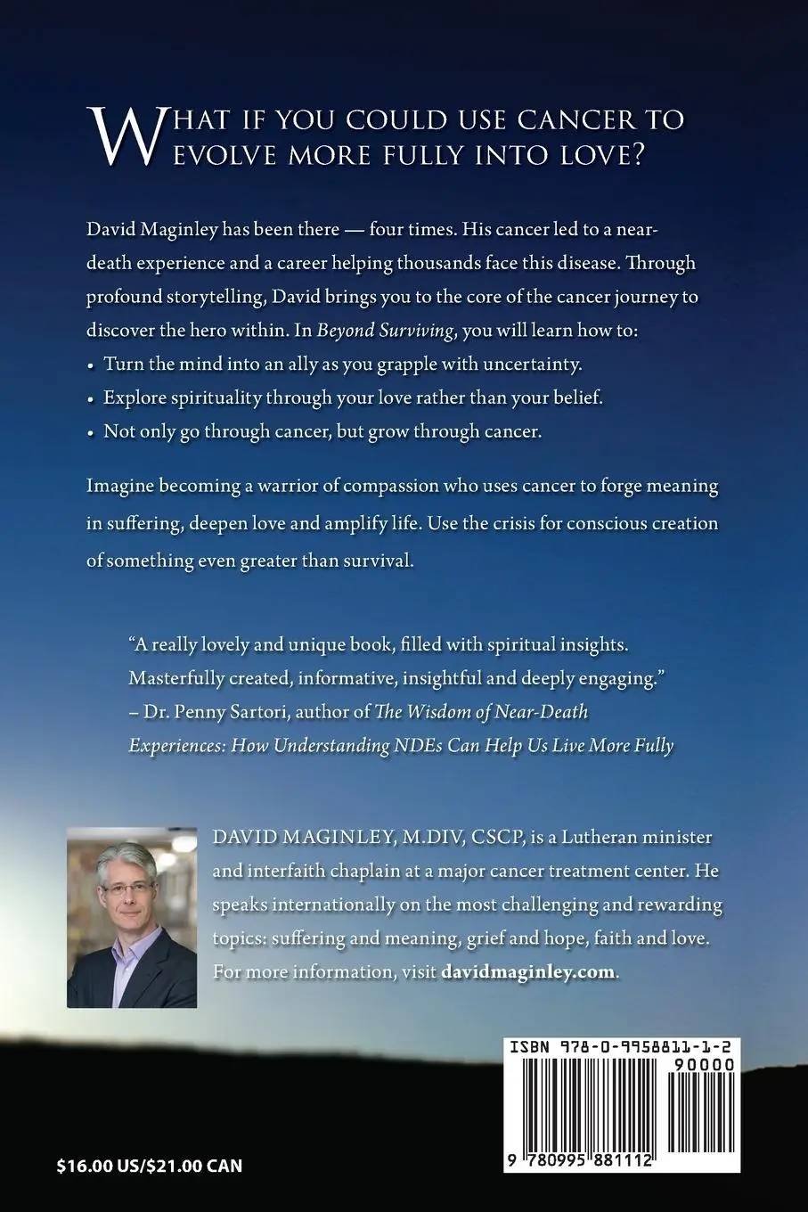 Rückseite: 9780995881112 | Beyond Surviving | Cancer and Your Spiritual Journey | David Maginley