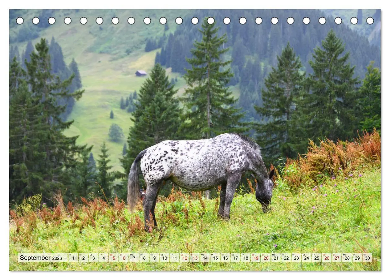 Bild: 9783457601112 | Kleines Walsertal - Das Kleinwalsertal in Vorarlberg (Tischkalender...
