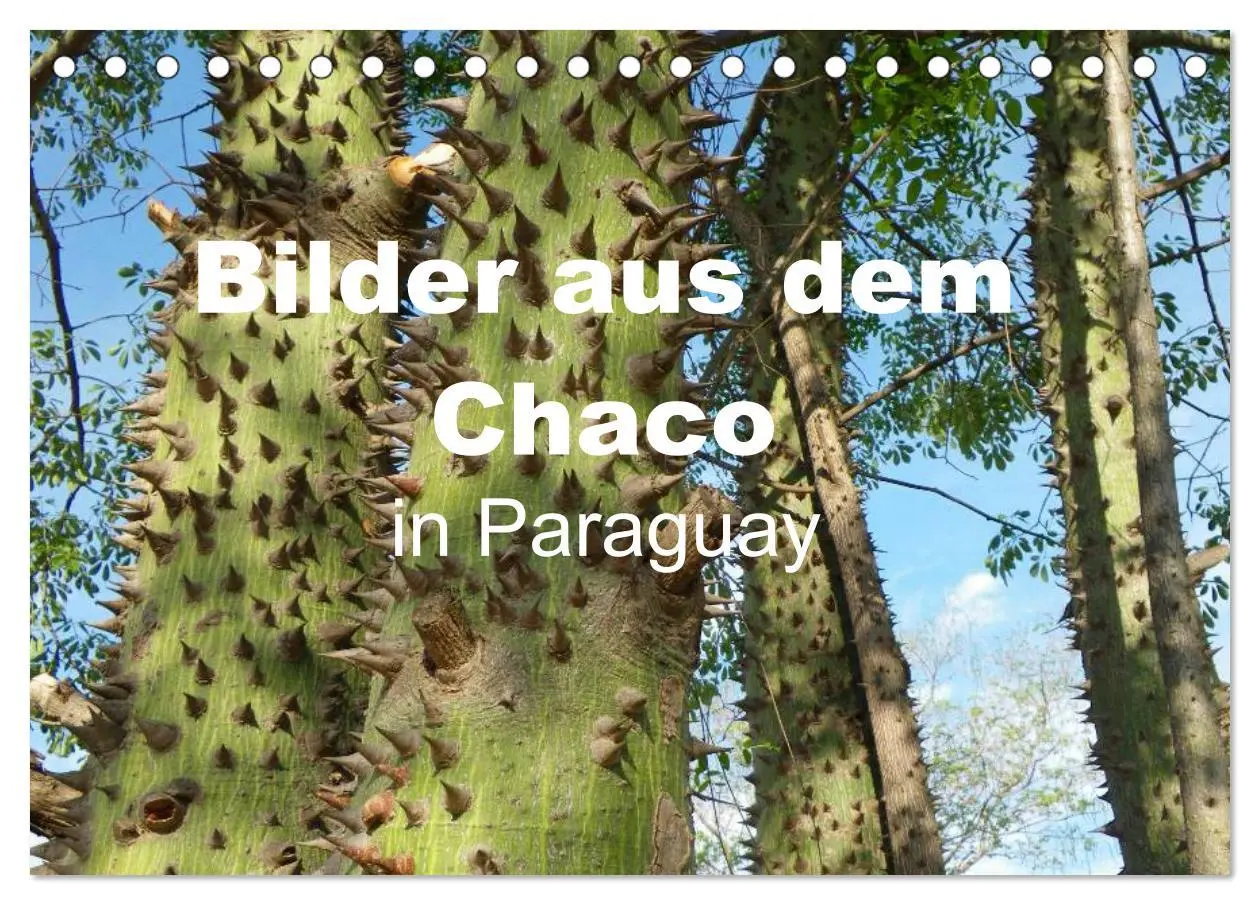 Cover: 9783516171112 | Bilder aus dem Chaco in Paraguay (Tischkalender 2026 DIN A5 quer),...