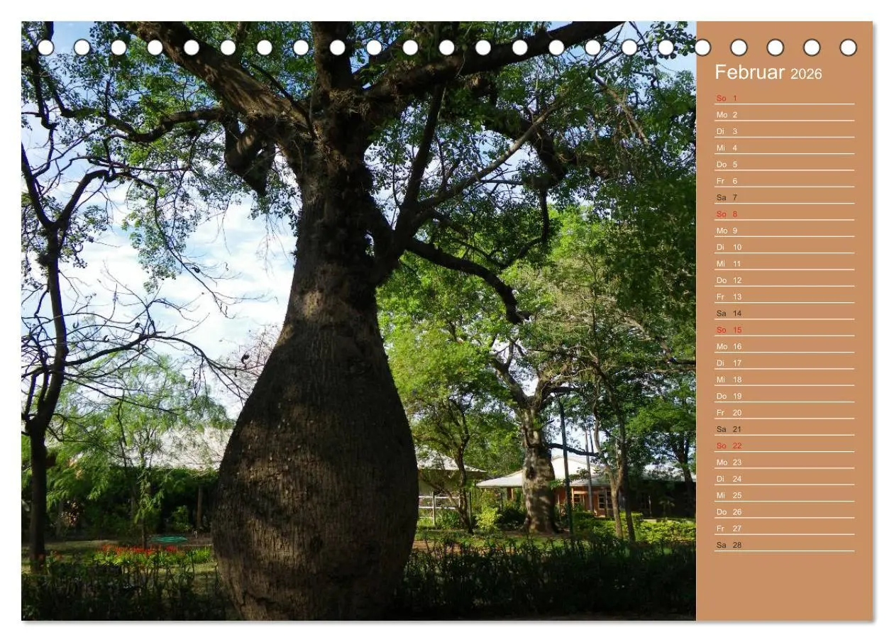 Bild: 9783516171112 | Bilder aus dem Chaco in Paraguay (Tischkalender 2026 DIN A5 quer),...
