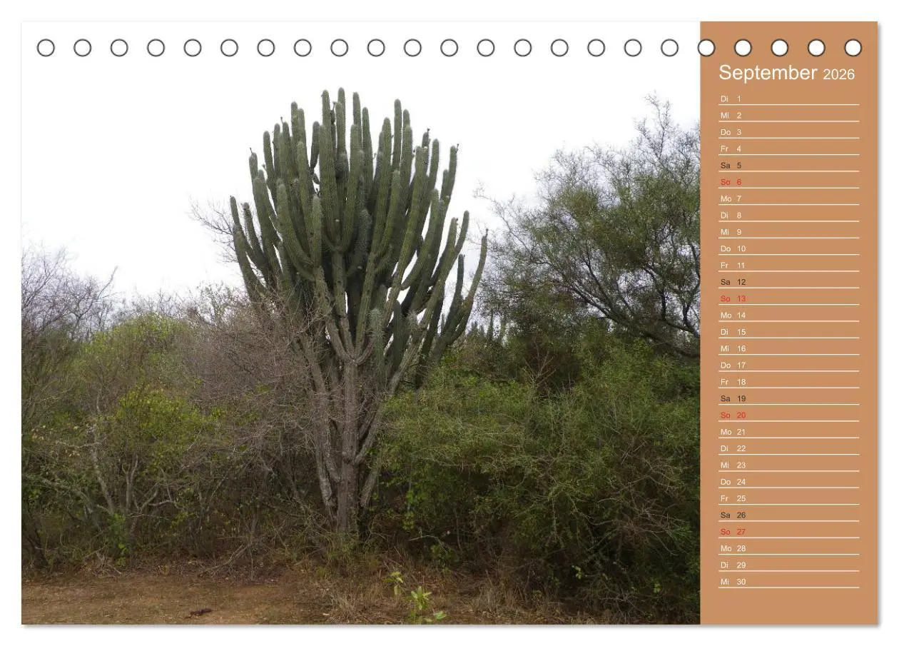 Bild: 9783516171112 | Bilder aus dem Chaco in Paraguay (Tischkalender 2026 DIN A5 quer),...