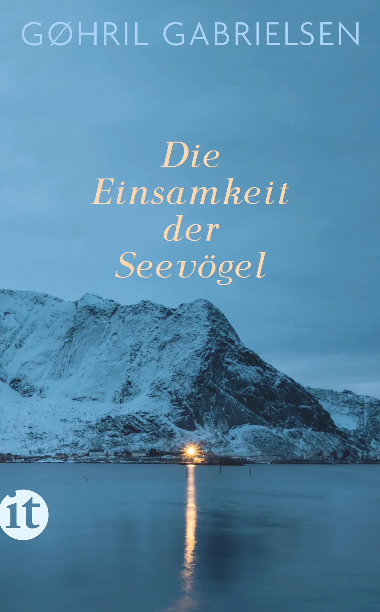 Cover: 9783458681212 | Die Einsamkeit der Seevögel | Gøhril Gabrielsen | Taschenbuch | 174 S.