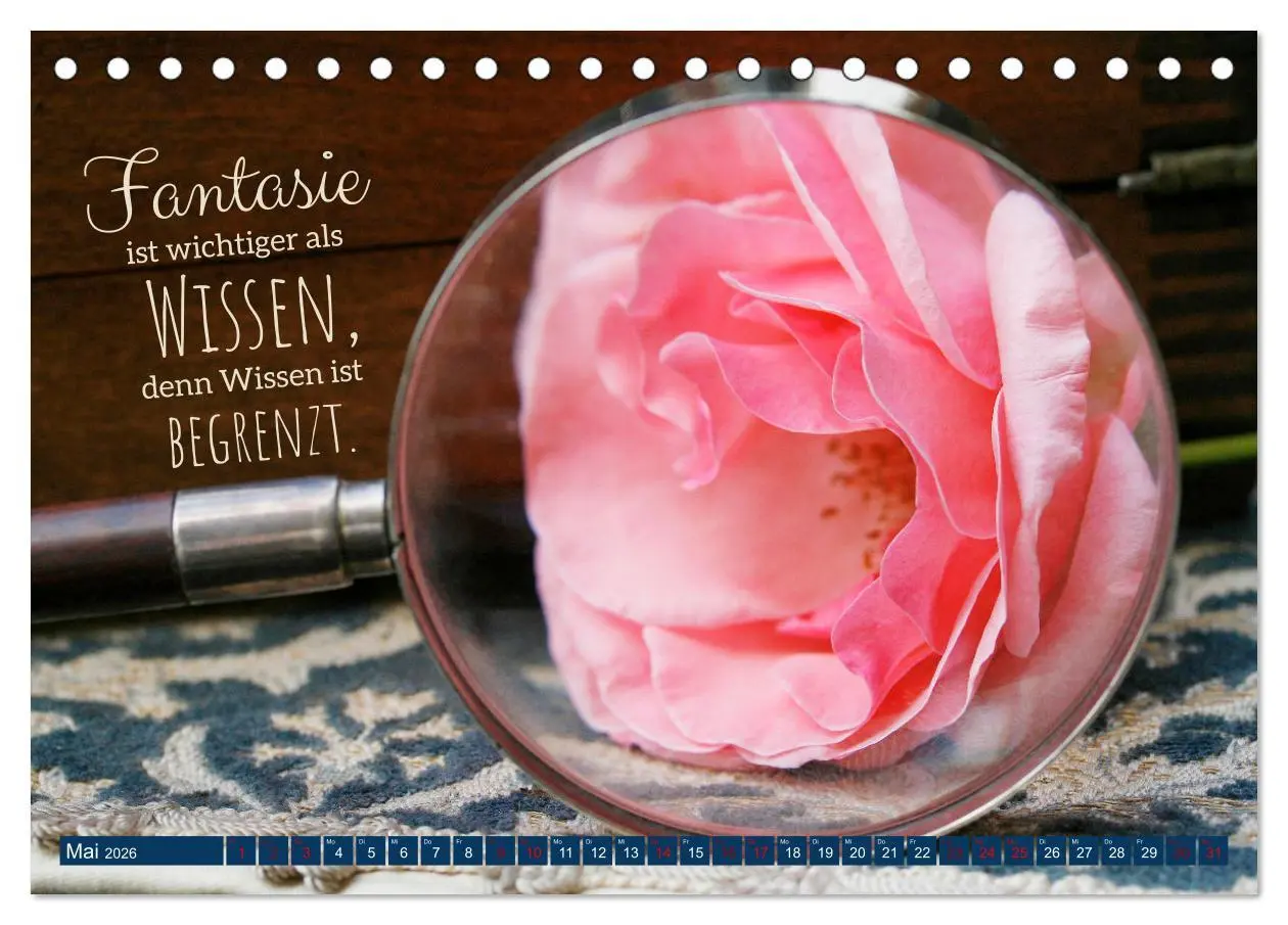 Bild: 9783457751312 | Jeder ist ein Genie! Zitate von Albert Einstein (Tischkalender 2026...