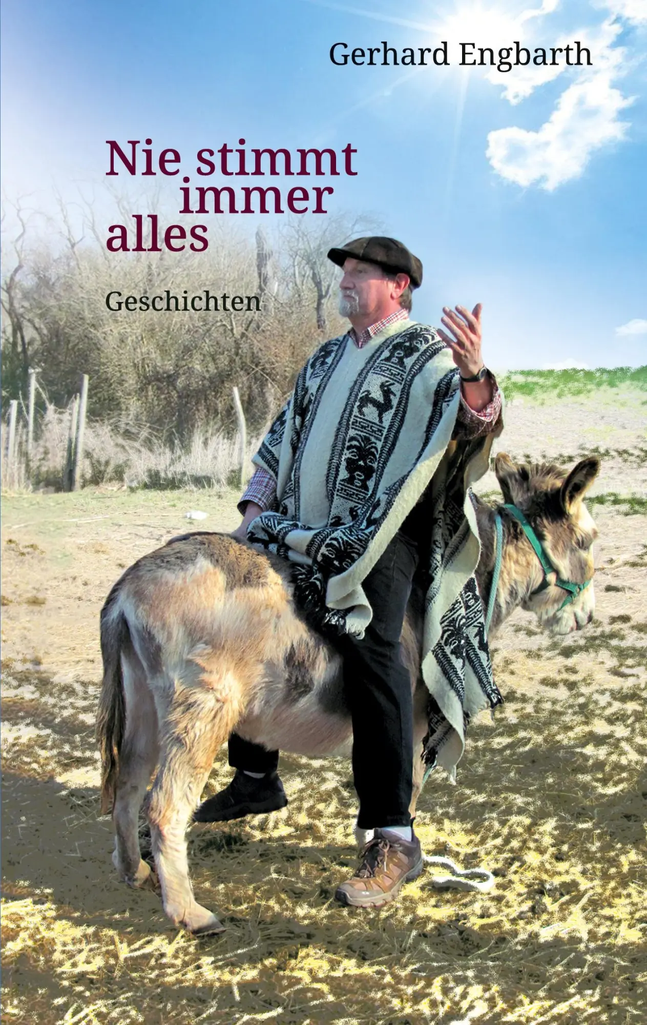 Cover: 9783757891312 | Nie stimmt immer alles | Geschichten | Gerhardt Engbarth | Taschenbuch