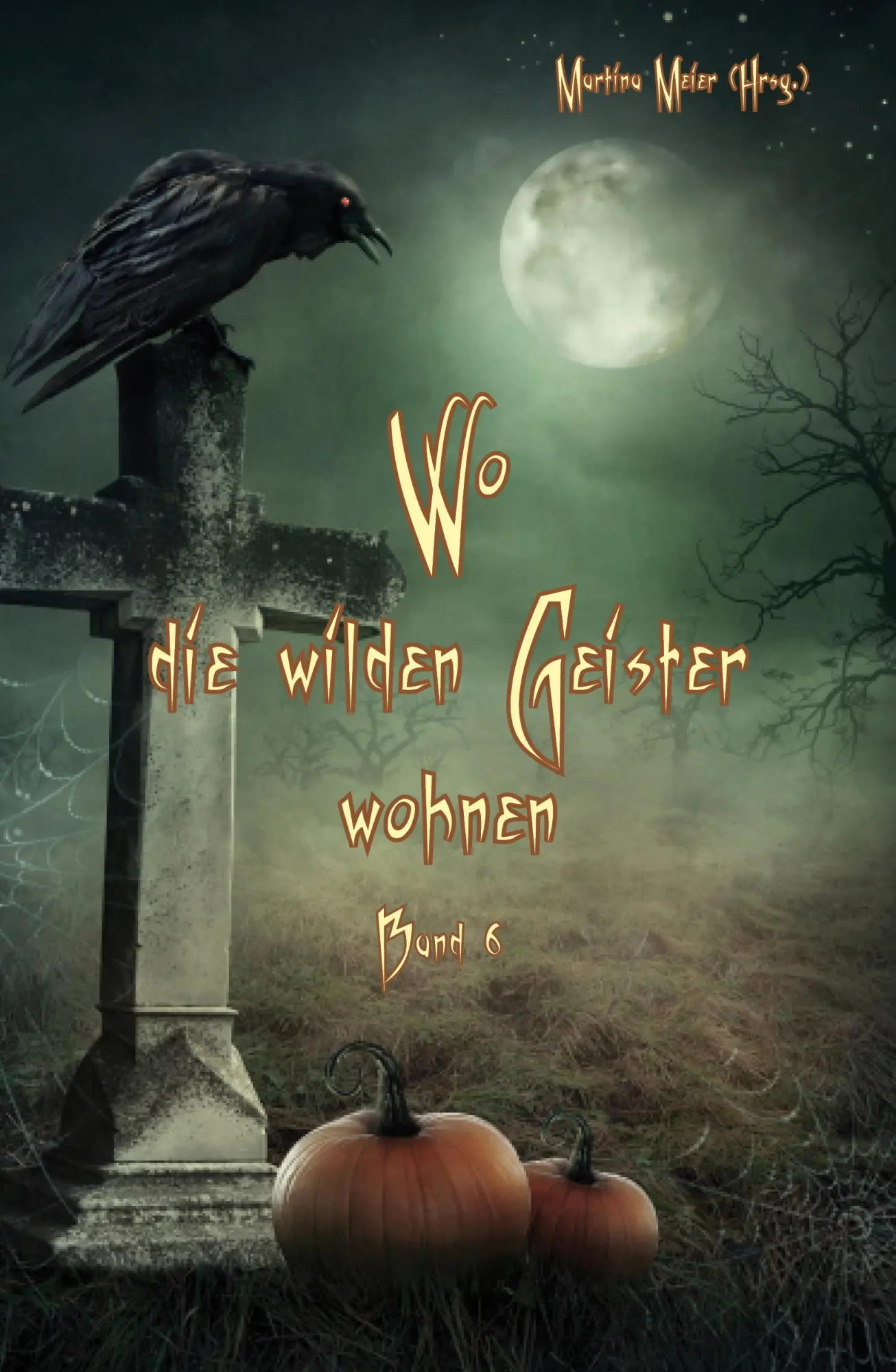 Cover: 9783990511312 | Wo die wilden Geister wohnen ... Schaurig-schöne Gruselgeschichten...