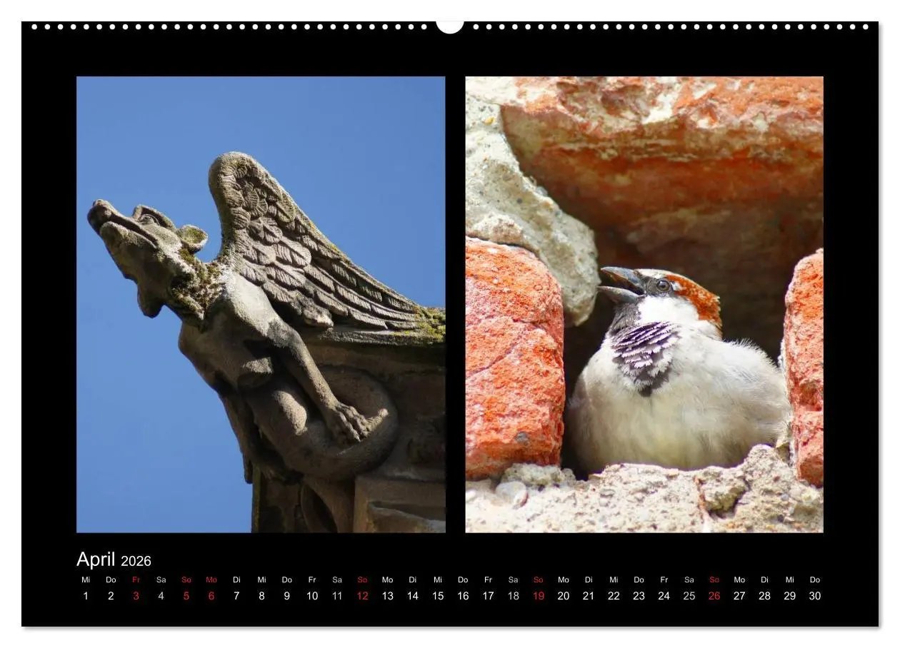 Bild: 9783457981412 | Ulmer Spatzen (hochwertiger Premium Wandkalender 2026 DIN A2 quer),...
