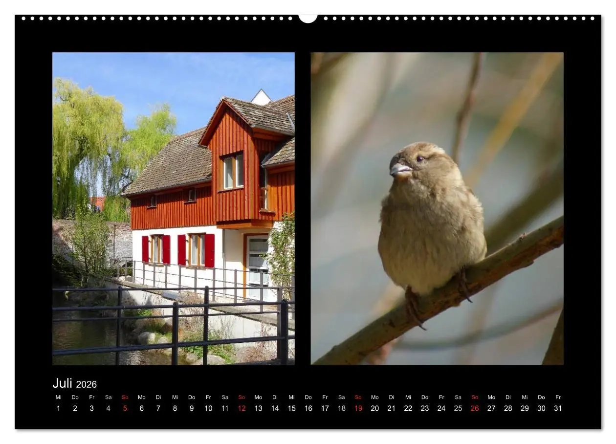 Bild: 9783457981412 | Ulmer Spatzen (hochwertiger Premium Wandkalender 2026 DIN A2 quer),...