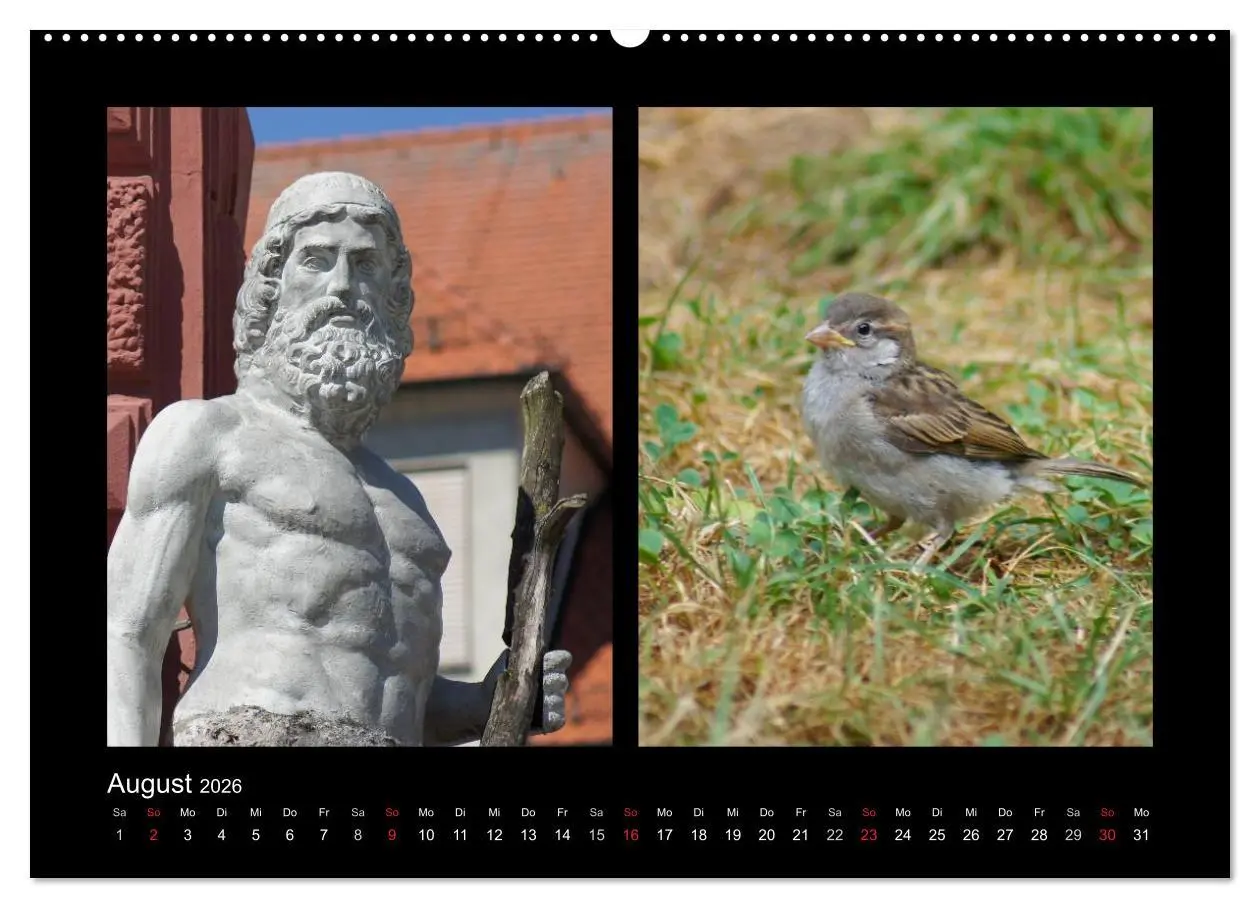 Bild: 9783457981412 | Ulmer Spatzen (hochwertiger Premium Wandkalender 2026 DIN A2 quer),...