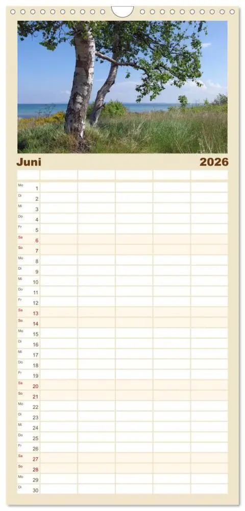 Bild: 9783516521412 | Familienplaner 2026 - Rügen PUR mit 5 Spalten (Wandkalender, 21 x...