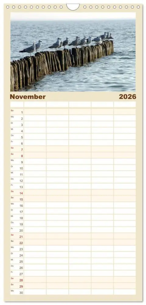 Bild: 9783516521412 | Familienplaner 2026 - Rügen PUR mit 5 Spalten (Wandkalender, 21 x...