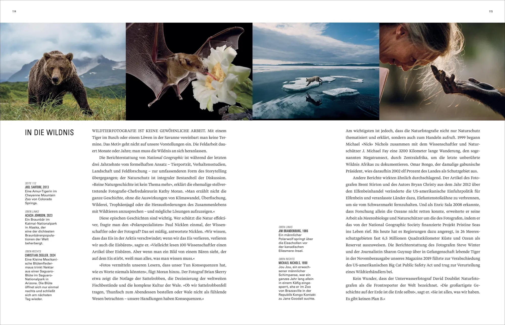 Bild: 9783987011412 | Ikonen der Fotografie | Geographic National | Buch | 464 S. | Deutsch