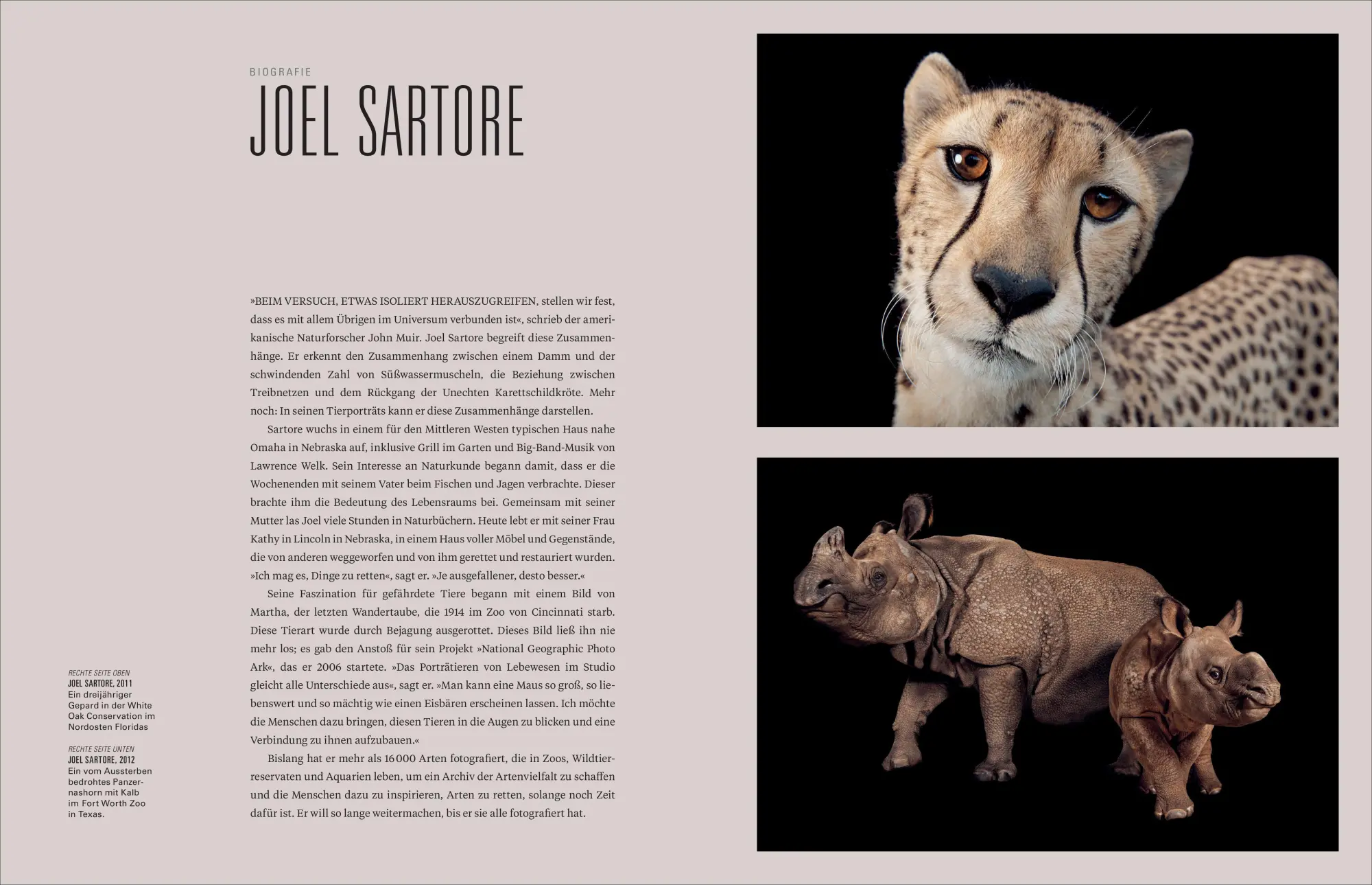 Bild: 9783987011412 | Ikonen der Fotografie | Geographic National | Buch | 464 S. | Deutsch