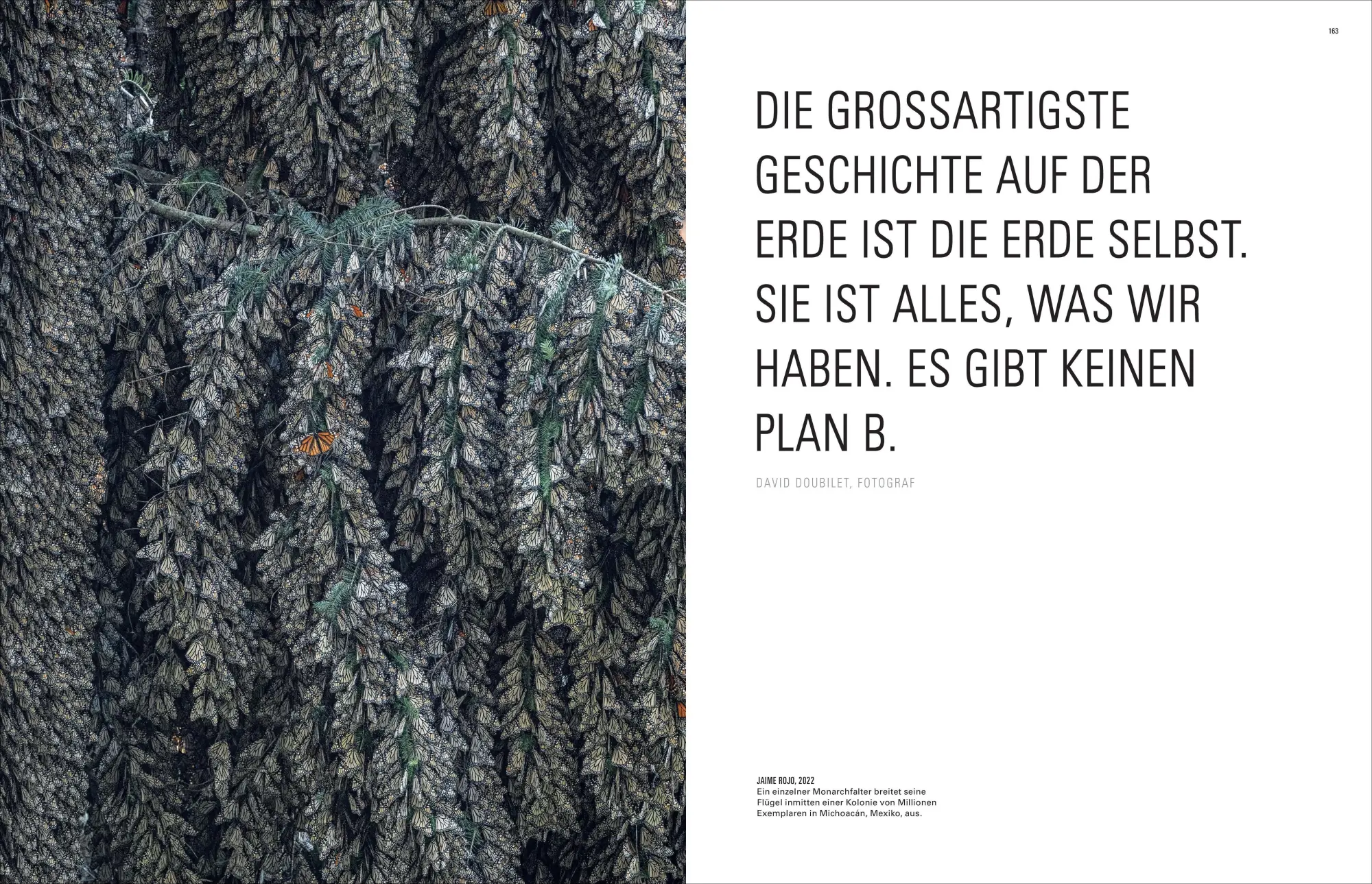 Bild: 9783987011412 | Ikonen der Fotografie | Geographic National | Buch | 464 S. | Deutsch