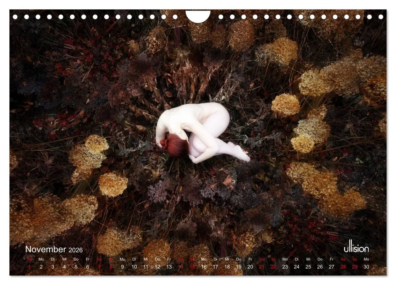 Bild: 9783457351512 | Poesie der Stille - Akt in der Natur (Wandkalender 2026 DIN A4...
