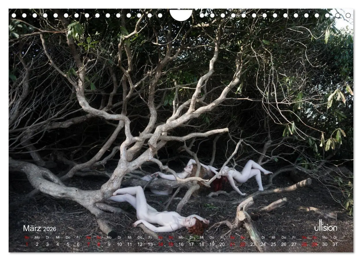 Bild: 9783457351512 | Poesie der Stille - Akt in der Natur (Wandkalender 2026 DIN A4...