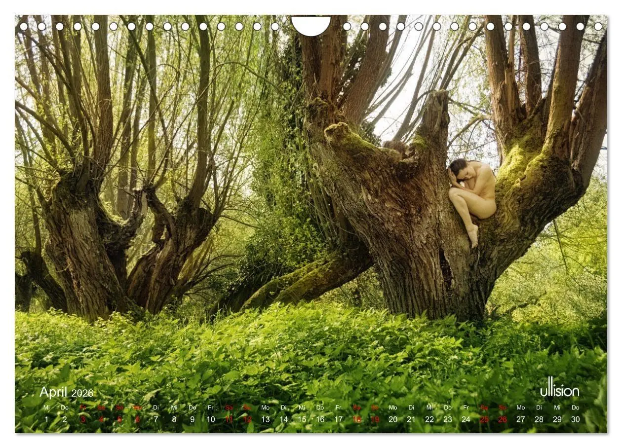 Bild: 9783457351512 | Poesie der Stille - Akt in der Natur (Wandkalender 2026 DIN A4...