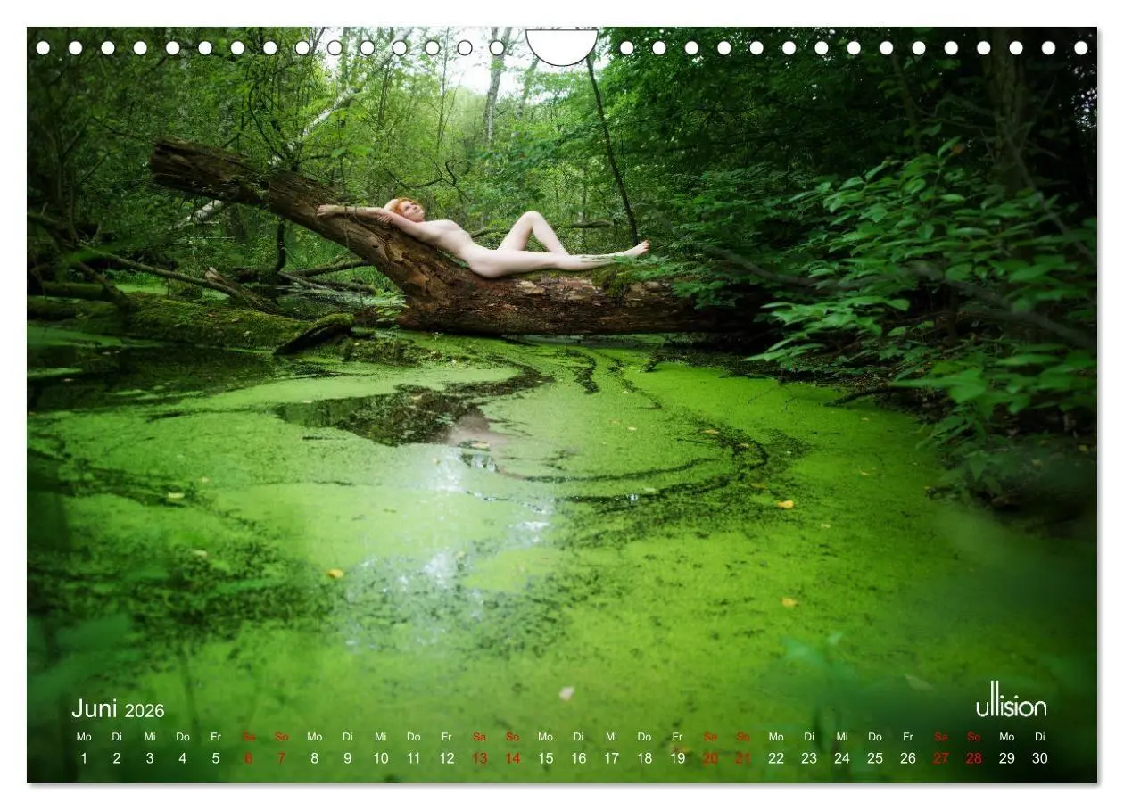Bild: 9783457351512 | Poesie der Stille - Akt in der Natur (Wandkalender 2026 DIN A4...