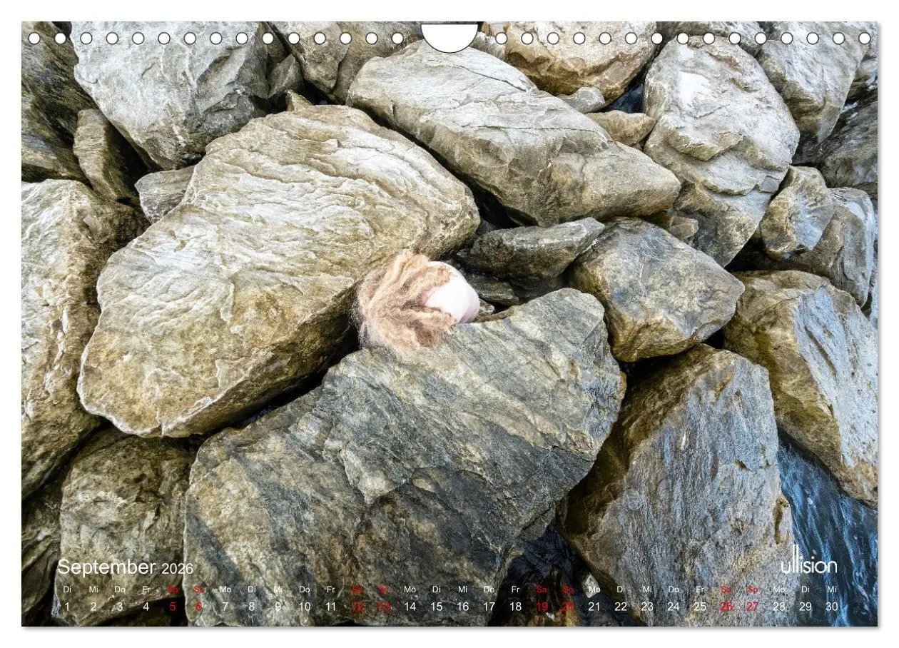 Bild: 9783457351512 | Poesie der Stille - Akt in der Natur (Wandkalender 2026 DIN A4...