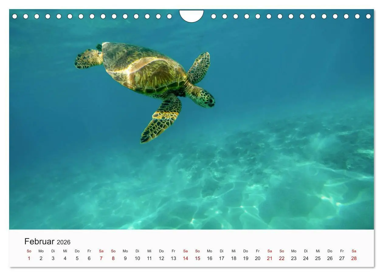 Bild: 9783457731512 | Hawaii - Sommer, Sonne, Urlaub (Wandkalender 2026 DIN A4 quer),...
