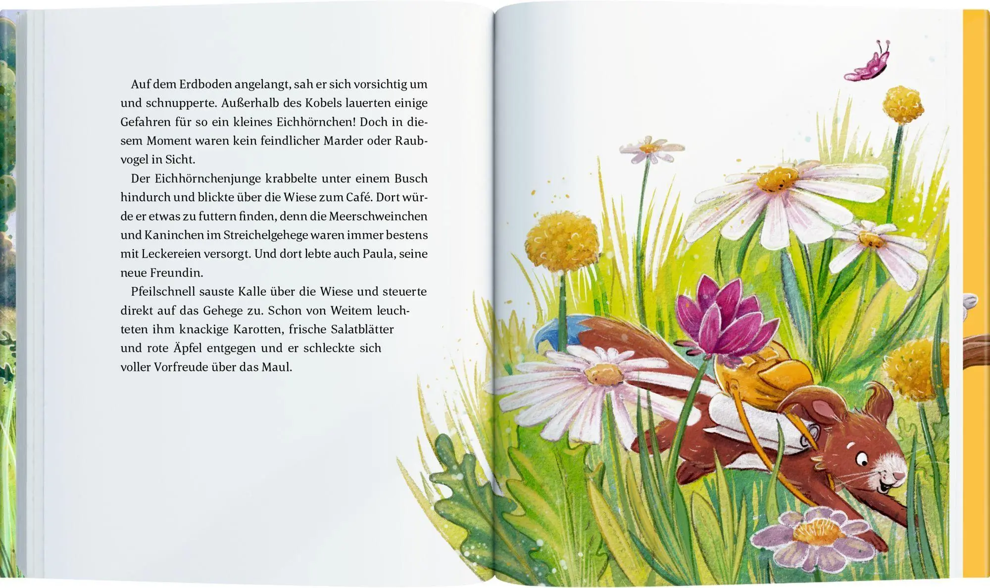 Bild: 9783649651512 | Die Wuselbande | Mit Mut und Möhre | Suza Kolb | Buch | 144 S. | 2026