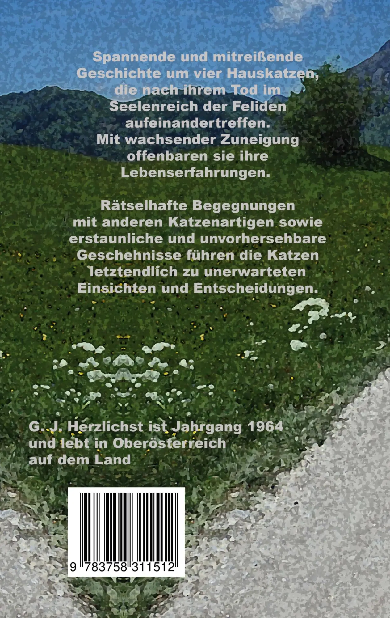 Rückseite: 9783758311512 | Wo alle Katzen hingehen | Katzenroman | G. J. Herzlichst | Taschenbuch