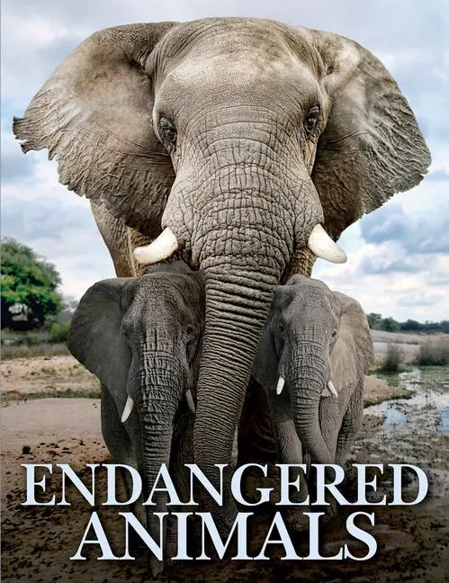 Cover: 9781838861612 | Endangered Animals | Tom Jackson | Buch | Animals | Gebunden | 2022