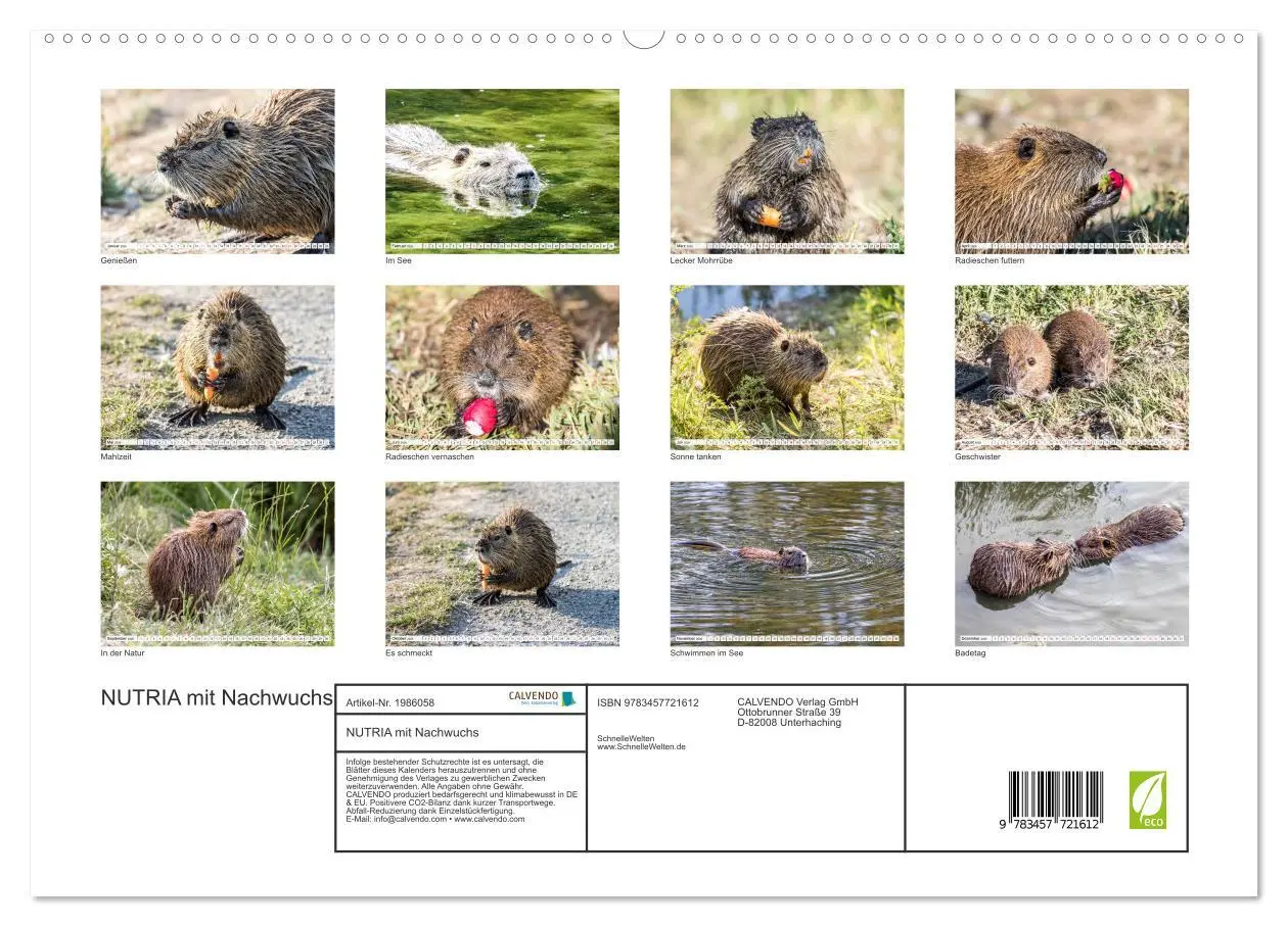 Bild: 9783457721612 | NUTRIA mit Nachwuchs (hochwertiger Premium Wandkalender 2026 DIN A2...