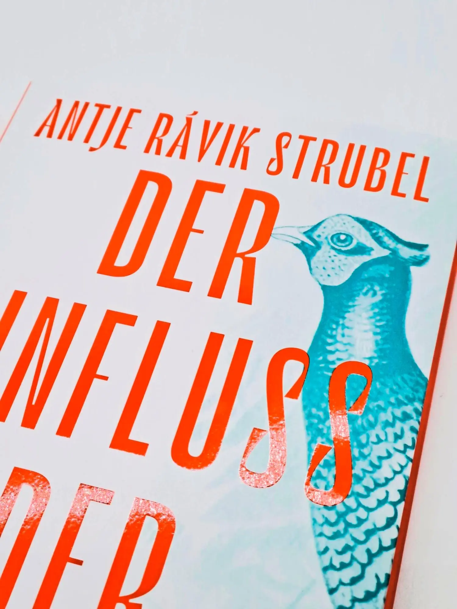 Bild: 9783103971712 | Der Einfluss der Fasane | Roman | Antje Rávik Strubel | Buch | 240 S.