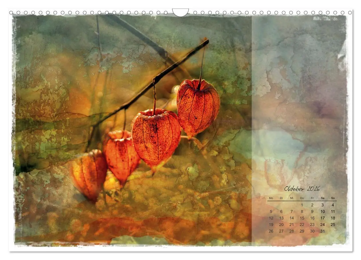 Bild: 9783457261712 | Blüte trifft auf Aquarell (Wandkalender 2026 DIN A3 quer), CALVENDO...