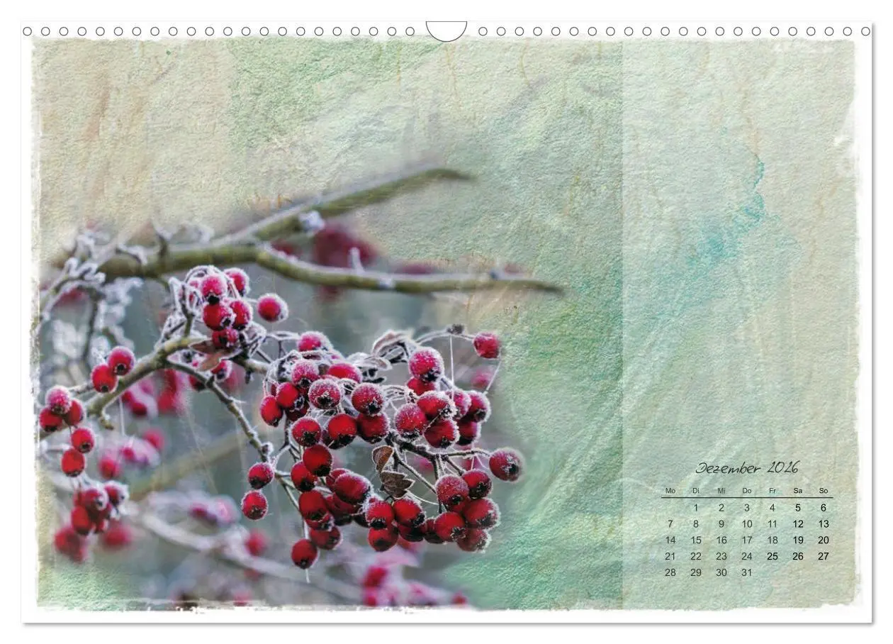 Bild: 9783457261712 | Blüte trifft auf Aquarell (Wandkalender 2026 DIN A3 quer), CALVENDO...