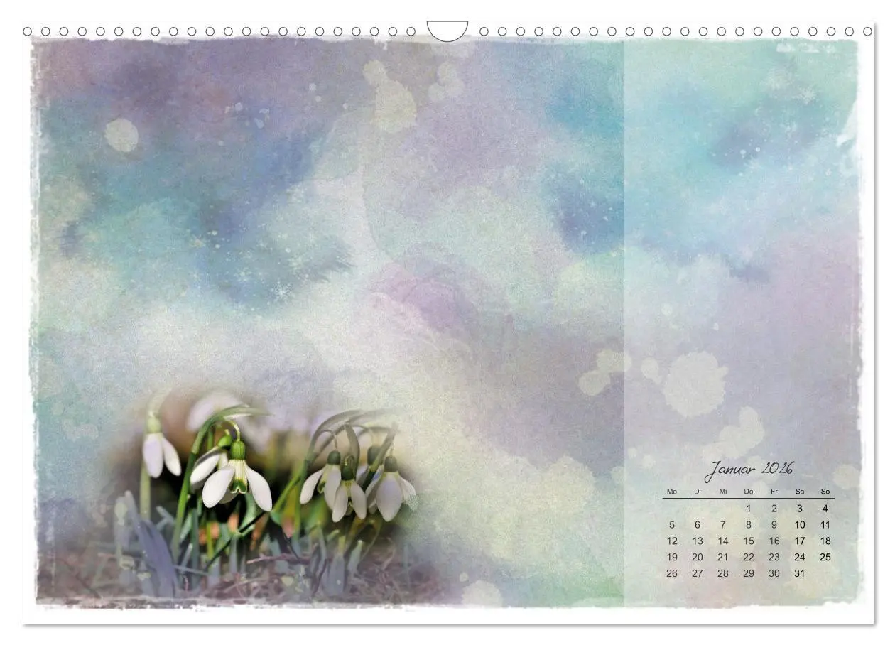 Bild: 9783457261712 | Blüte trifft auf Aquarell (Wandkalender 2026 DIN A3 quer), CALVENDO...