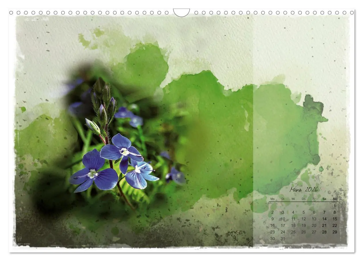 Bild: 9783457261712 | Blüte trifft auf Aquarell (Wandkalender 2026 DIN A3 quer), CALVENDO...